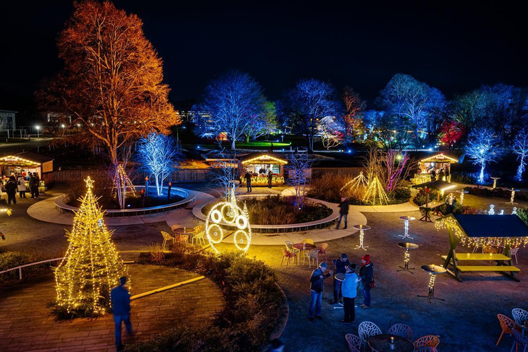 Wstęp do egaparku: zimowe światła