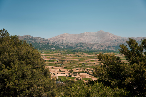 Crete: Lasithi Plateau & Knossos Palace Tour Lassithi Plateau & Knossos Palace