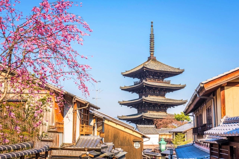 From Kyoto or Osaka: UNESCO World Heritage Sites Day Trip From Kyoto