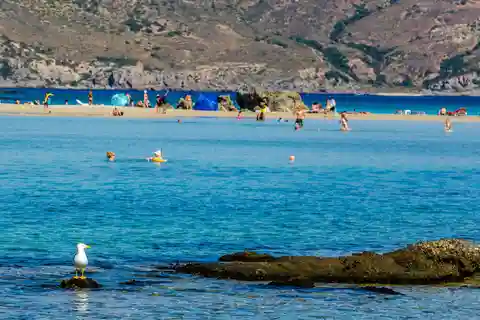Héraklion : Plage d'Elafonisi : Découvrez le paradis de sable rose