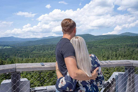 Bavarian Forest: Treetop Walk & Egg Tower Experience