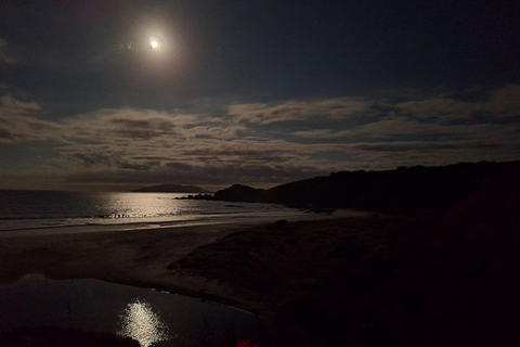 Auckland: Stargazing, Meteor Showers and Cosmic Events Tour