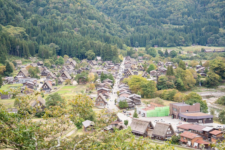 Kanazawa: Shirakawa-go privé-dagtour met lunch