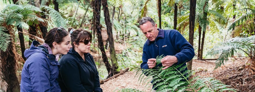 Rotorua : Explorez les lacs - demi-journée matinale