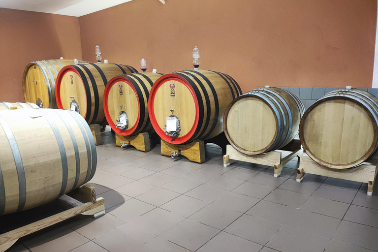 Dégustation de vins sur le versant sud de l'Etna