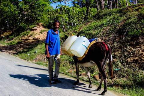 Puerto Plata: The Best of the Island - City, Countryside, and Playa Teco Puerto Plata: The Best of the Island - City, Country Life and Teco Beach