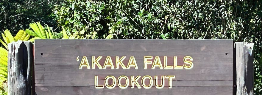 Excursion à Hilo : Chutes d'eau majestueuses