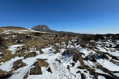 Randonnée au Hallasan sur l'île de Jeju, la plus haute montagne de Corée du SudJeju Hallasan ; randonnée pédestre des fleurs de neige avec déjeuner