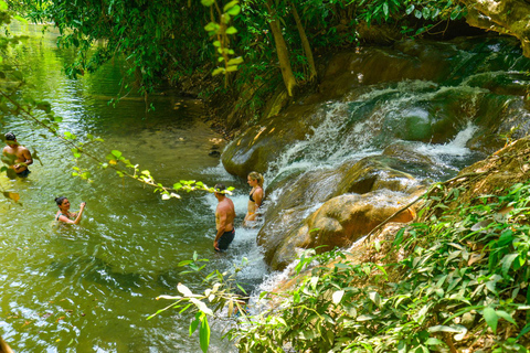 Krabi Private Escape: Emerald Pool, Hot Springs & Tiger Cave Private Van