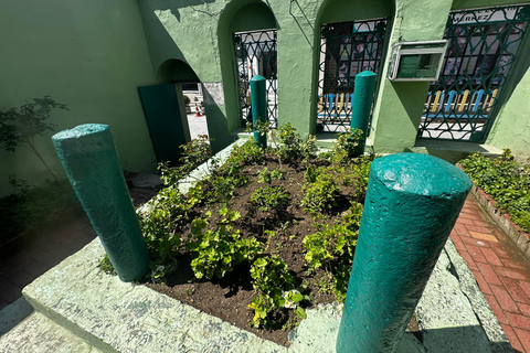 伊斯坦布尔：全天伊斯兰圣伴之旅，含午餐及接送服务