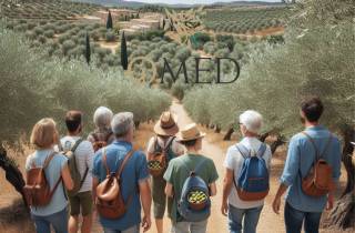 Granada in EVOO: Führung durch den Olivenhain und sensorische Verkostung