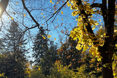 Oslo: Vigeland Park Guided Tour with Hidden Stories