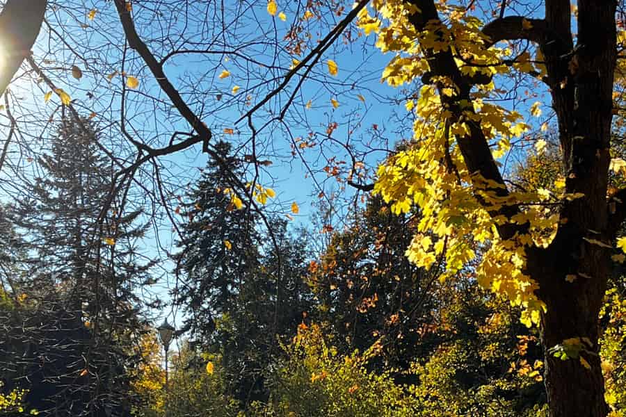Oslo: Geführte Tour durch den Vigeland-Park mit verborgenen Geschichten. Foto: GetYourGuide Oslo: Geführte Tour durch den Vigeland-Park mit verborgenen Geschichten. Foto: GetYourGuide