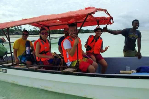 Zanzibar: Pungume Island Dolphin and Snorkeling TourZanzibar: Delfin- och snorklingstur till Pungume Island