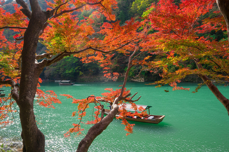 Osaka/Kyoto: Nara, Arashiyama, Fushimi Inari Taisha Day Tour Kyoto & Nara Day Tour | 8:00 AM from Osaka