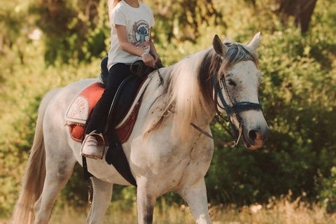 Side: Horseback Riding Adventure with Hotel Pickup