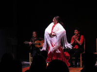Valencia, Flamenco Show at Ca Revolta Theater - Housity