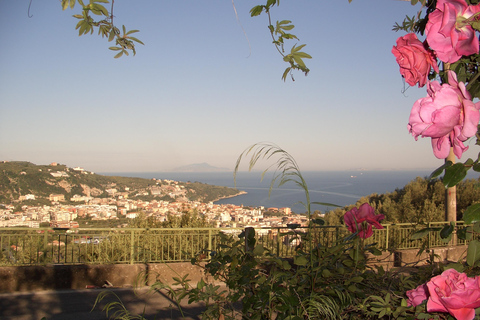 Sorrento: Walking Tour in Lemon Garden w/ Food Tasting