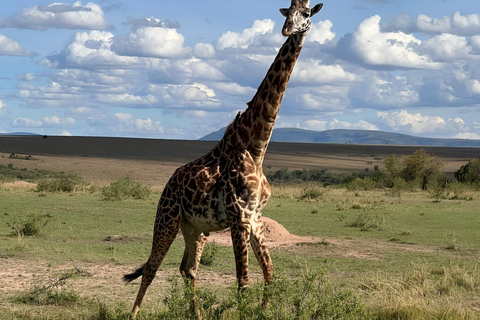 Z Nairobi: 3-dniowe prywatne safari z wizytą w wiosce Masajów