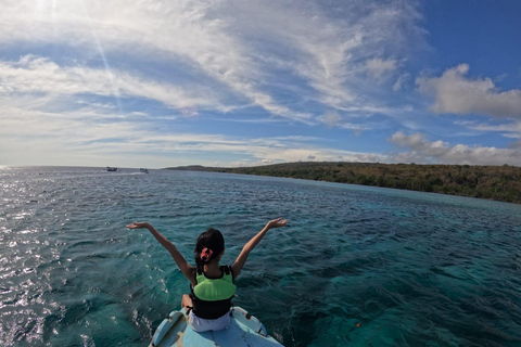 Banyuwangi: 1 Day Tour Snorkeling & Explore Menjangan Island From Banyuwangi : Snorkeling Menjangan Island drop off Bali