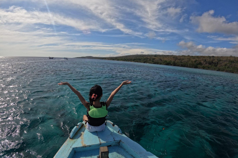 Banyuwangi: 1 Day Tour Snorkeling & Explore Menjangan Island From Banyuwangi : Snorkeling Menjangan Island drop off Bali