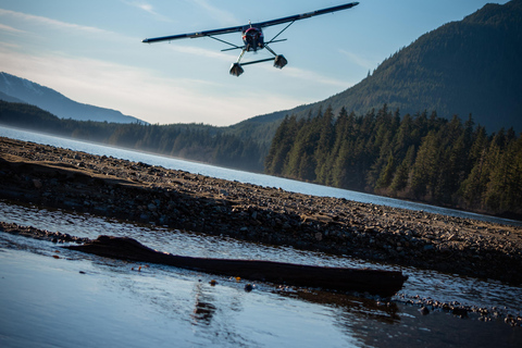 From Juneau: Pack Creek Bear Viewing Adventure Private Pack Creek Bear Viewing Adventure