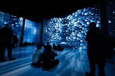 NYC: ARTECHOUSE Immersive Art Experience Entrance Ticket