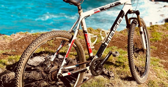 South Discovery Eco Tour with Bike Ride and Picnic Lunch