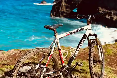 South Discovery Eco Tour with Bike Ride and Picnic Lunch