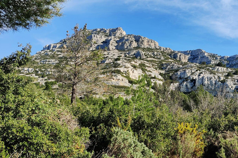 Calanques de Marseille : Randonnée naturaliste estivale poétiqueCalanques de Marseille : Randonnée santé-naturaliste-poétique