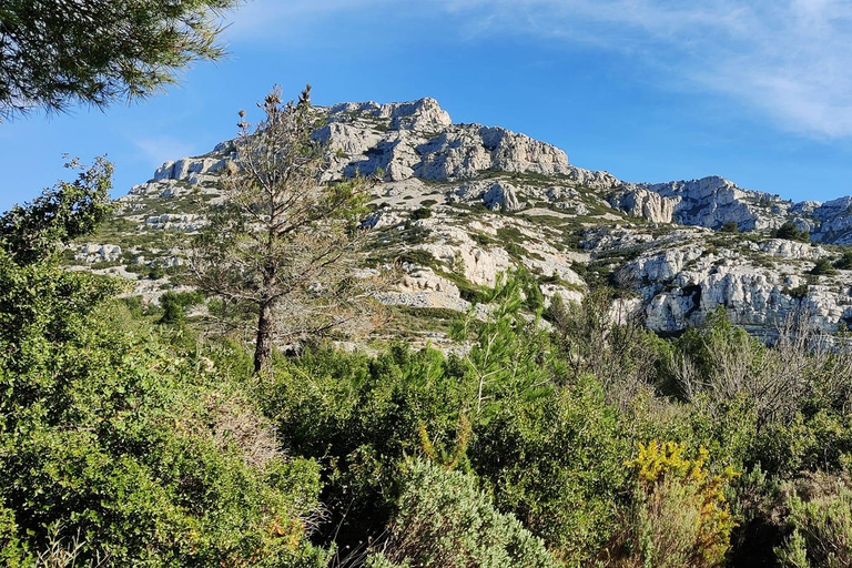 Calanques de Marseille : Randonnée naturaliste estivale poétiqueCalanques de Marseille : Randonnée santé-naturaliste-poétique