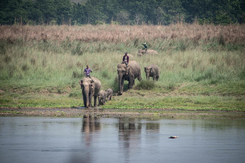 Chitwan Jungle Safari 2 Nuits 3 Jours