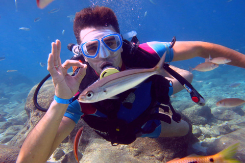 Alanya: Discover Scuba Diving Experience for Beginners