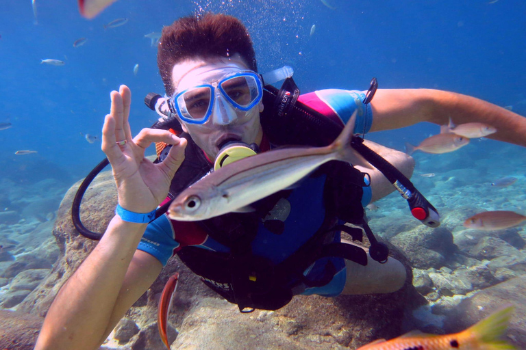 Alanya: Discover Scuba Diving Experience for Beginners