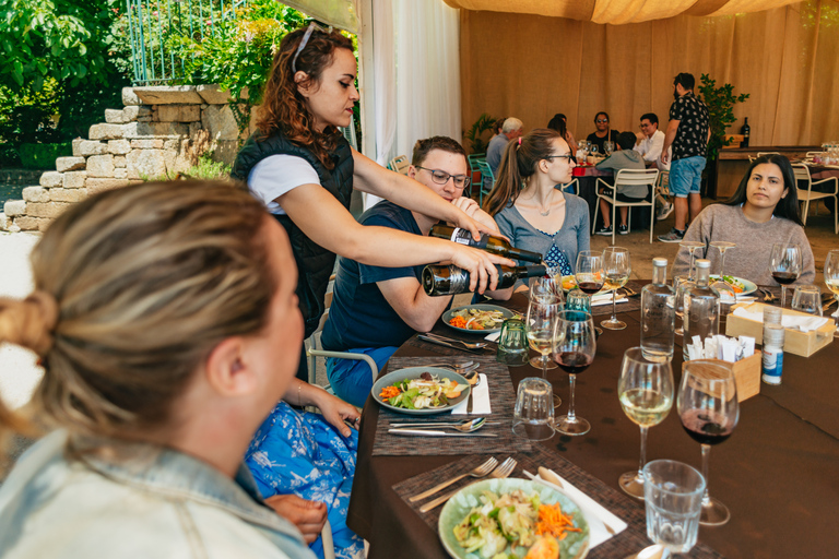 Vallée du Douro : circuit vins avec déjeuner et croisièrePrise en charge et le retour à votre hôtel inclus