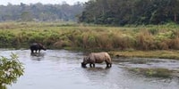 De Katmandou ou Pokhara,Luxury 4 jours Chitwan Tour Package - Hizvo