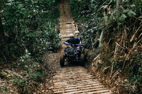 Bali: Shore Excursion Cruise Ship From Celukan Bawang Port Customize Your Own Itinerary (Not Include Entrance Tickets)