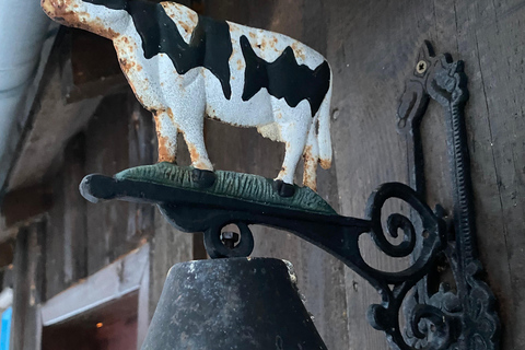 From Bucharest: Bear Sanctuary and Bison Reservation Tour