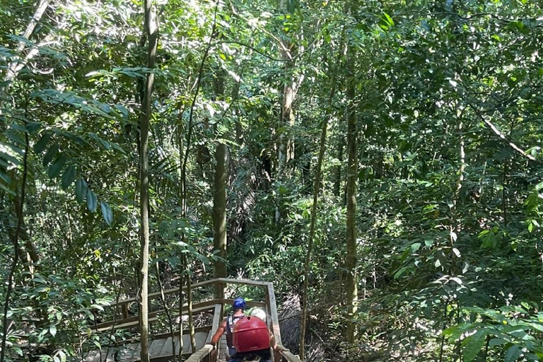 Puerto Plata: Adrenaline in Damajagua and the Essence of Dominican Life