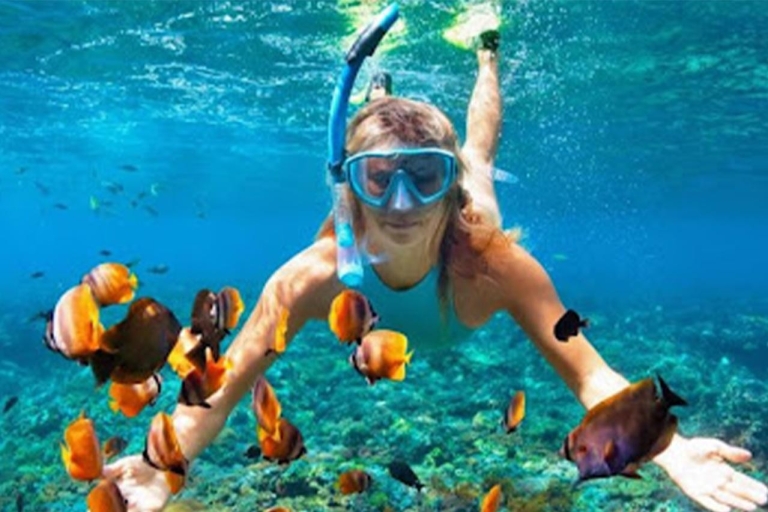Gili Island: Snorkeling Tour To 3 Spot by Speedboat Canno Experience To Gilli Trawangan