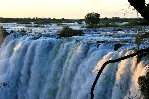 Tour guiado por las cataratas Victoria más almuerzoExcursión guiada por las cataratas Victoria más almuerzo