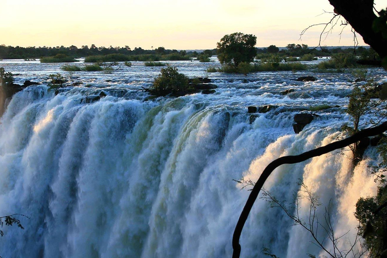 Victoria Falls Guided Tour Plus Lunch