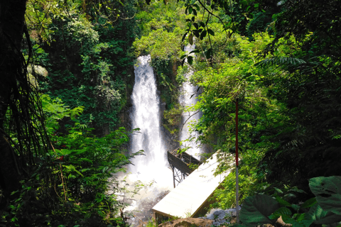 Jakarta: Tangkuban Perahu Volcano & Tea Plantations Day-Tour