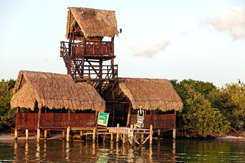 Holbox: Yalahau, Passion Island and Punta Mosquito Boat Tour Group Tour