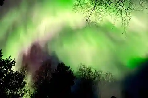 Rovaniemi Cazar la Aurora en los Mejores Lugares