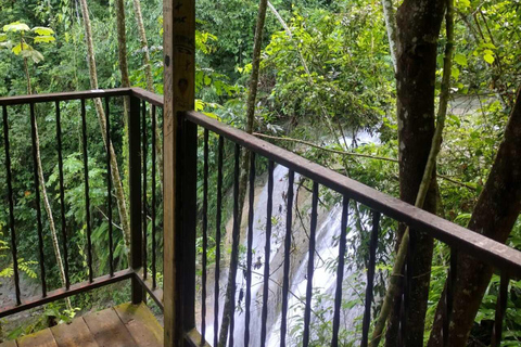 Porto Rico : Randonnée sur la rivière Gozalandia et visite des chutes d&#039;eau