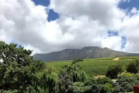 Cape Town: Cape Peninsula and Wine Route Tour