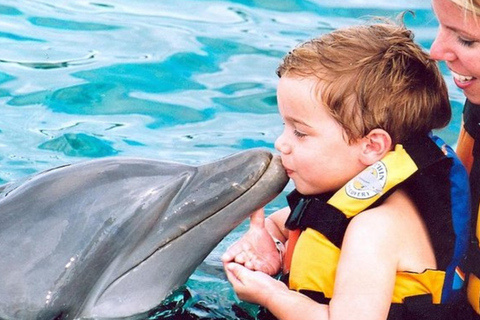 Punta Cana: Dolphin Explorer Swims and Interactions