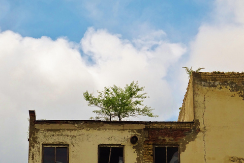 Urban exploration in Tbilisi – Private tour (price for 1 to 3 people)