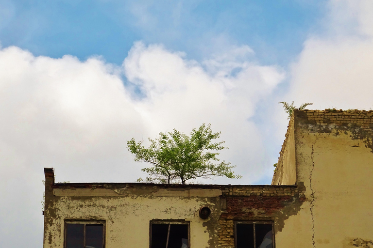 Urban exploration in Tbilisi – Private tour (price for 1 to 3 people)